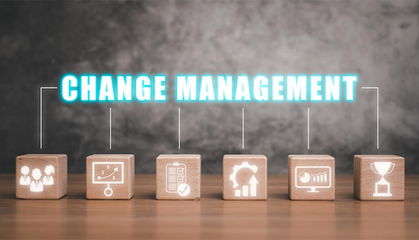 Change Management Services: Why You Need To Hire The Right Consultant